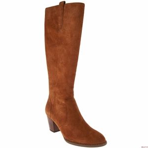 Tall Lanie Upright suede Vionic boots